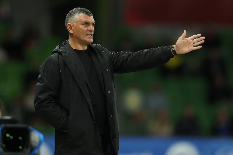 蓉城五球横扫西海岸登顶 韦林顿费利佩双星闪耀