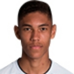 维尼修斯·巴莱罗