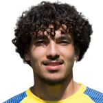 新莱昂自治大学老虎