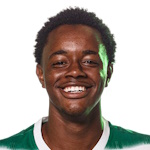 安德烈·贡萨尔维斯