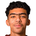 麦沙尔·阿拉埃利