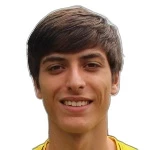 迭戈·塔瓦雷斯