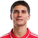 尼古拉斯·多明格斯